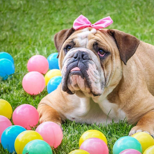 15 Easter Pet Dangers [Handy guide with safety tips and 24/7 vet helpline]