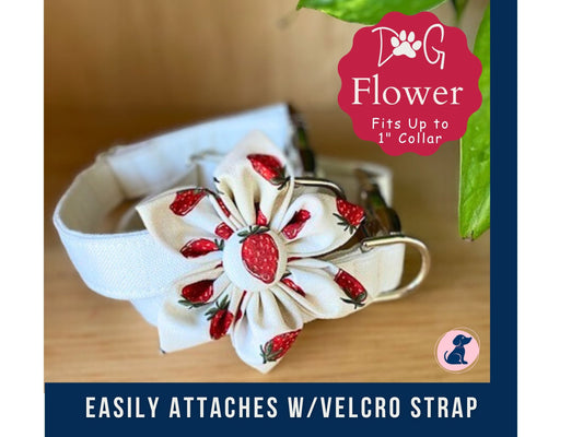 Strawberries Dog Collar Flower - Velcro Attachment