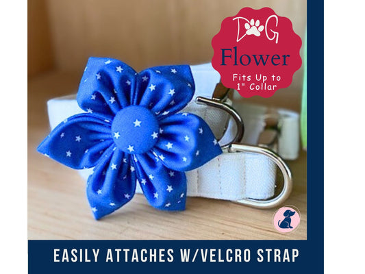 Patriotic Stars Dog Collar Flower - Velcro Attachment