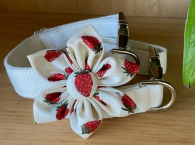 Strawberries Dog Collar Flower - Velcro Attachment
