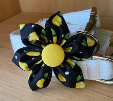 Fresh Lemons Dog Collar Flower - Velcro Attachment