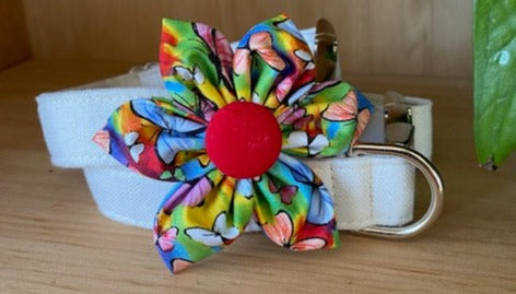 Butterfly Dog Collar Flower - Velcro Attachment