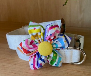 Confetti Dog Collar Flower - Velcro Attachment