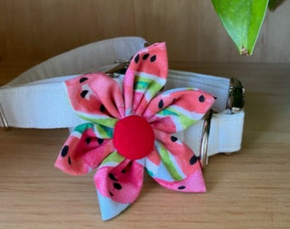 Watermelon Dog Collar Flower - Velcro Attachment