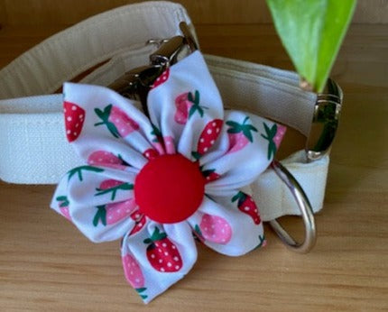 Summer Strawberries Dog Collar Flower - Velcro Attachment