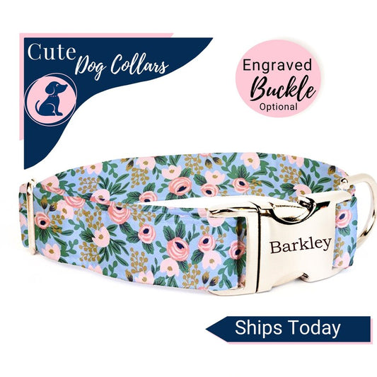 Dog Collar - Turquoise  Floral