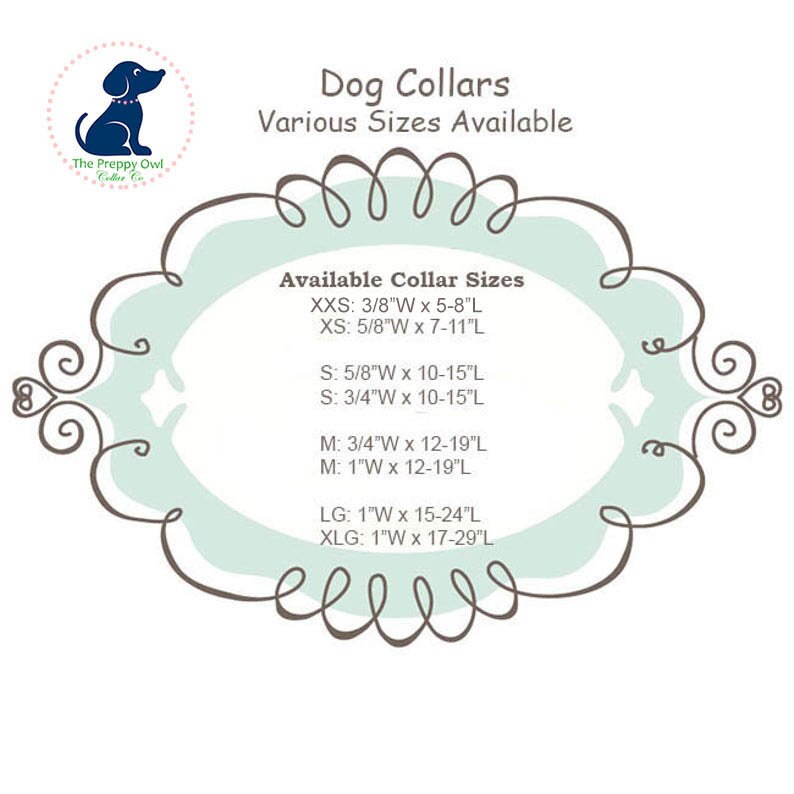 Puppy Collar Girl, Teal Dog Collar, Toy Dog Collar, Spring Dog Collar