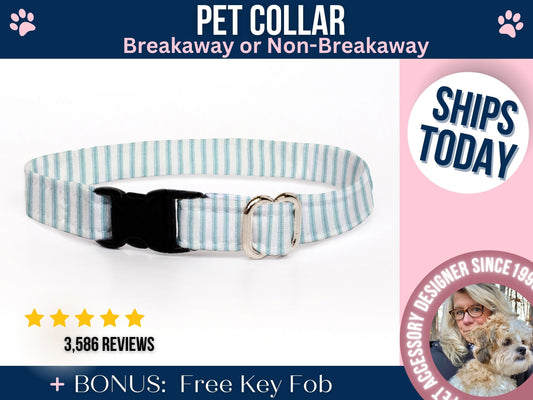 Aqua Cat Breakaway Collar, Summer Cat Collar with Bell, Male Cat Collar, Kitten Collar with Bell