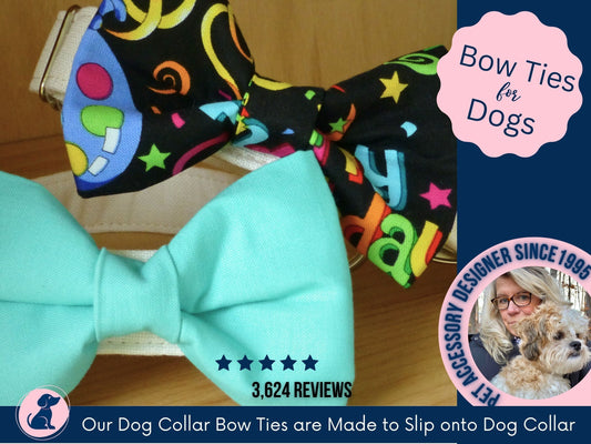 Birthday Boy Dog, Birthday Bow Tie Dog Collar, Dog Bow Tie Birthday, Dog Collar Bowtie Turquoise, Dog Bowtie Summer