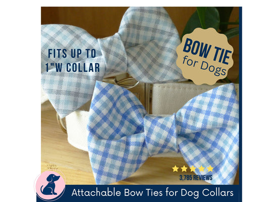 Boy Dog Bow Tie - Plaid Blue, Plaid Gray