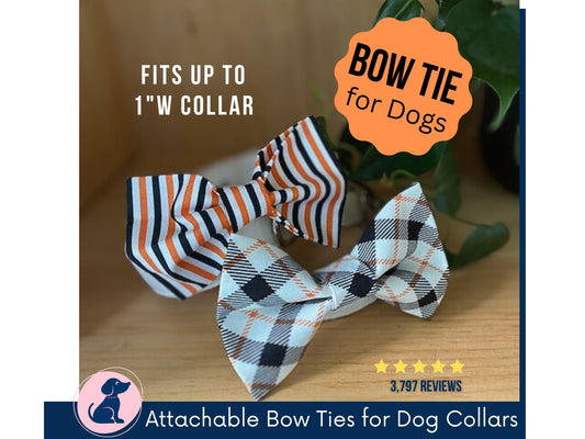 Boy Dog Bow Tie - Halloween Dog Collar Bowtie