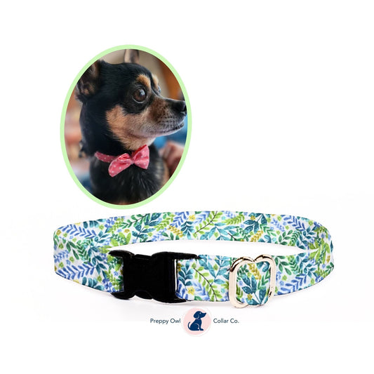 Tiny Dog Collar with Bow, XXS Dog Collar Boy, Botanical Pet Collar, Dog Collar Girl, Cute Puppy Collar - FREE Bow Included