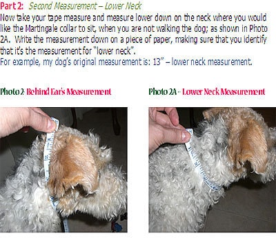 Martingale Dog Collar Pattern, DIY Dog Collars, How to Make Martingale Dog Collar