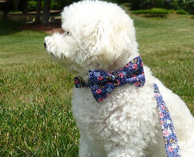 Dog Bow Tie Pattern, Dog Bow DIY Sewing Pattern, Pet Bow Tie Sewing, Dog Costumes, Small Dog Clothes, Dog Outfits, Costumes for Dogs