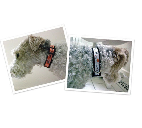How to Make an Adjustable Ribbon Nylon Dog Collar Sewing Instructions