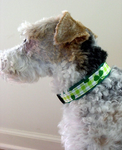 St. Patrick's Dog Collar -  Instant Download - Instructional Guide Teaching You How to Make this Dog Collar