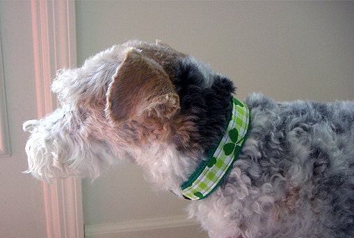 St. Patrick's Dog Collar -  Instant Download - Instructional Guide Teaching You How to Make this Dog Collar