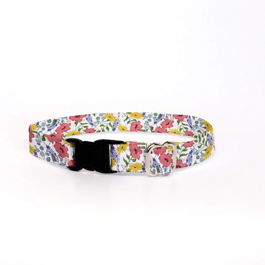 Preppy Owl Collar Co™ Cat Collar Cat Collar - Bees All Over Floral