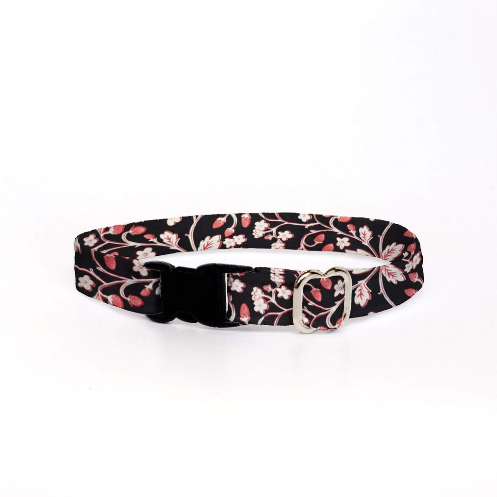 Preppy Owl Collar Co™ Cat Collar Cat Collar - French Hen Floral