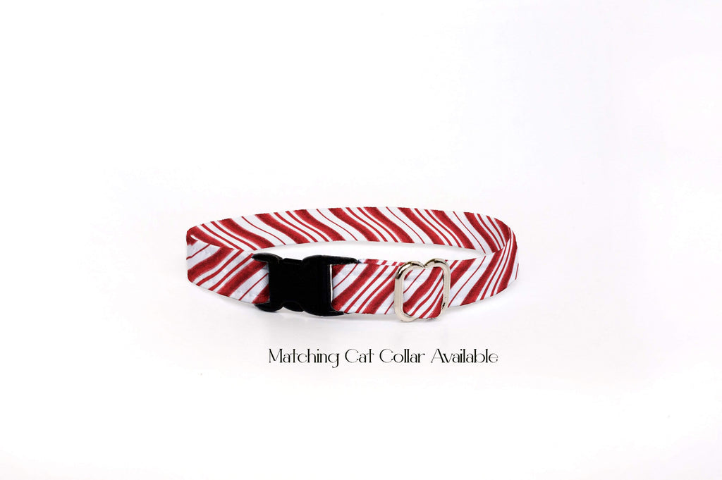 Preppy Owl Collar Co™ Dog Leash Dog Leash - Candy Cane Red